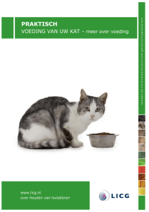 Voeding van uw kat - Meer over voeding