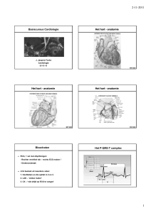 Basiscursus Cardiologie Het hart - anatomie Het hart