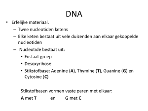 Opbouw DNA