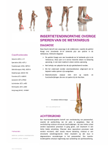 insertietendinopathie overige spieren van de metatarsus