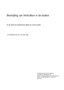 Bestrijding van Verticillium in de bodem - Wageningen UR E