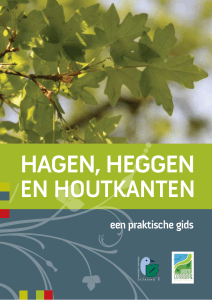 Hagen, Heggen - Regionaal Landschap Dijleland