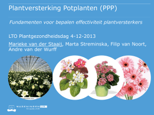 Plantversterking Potplanten (PPP)