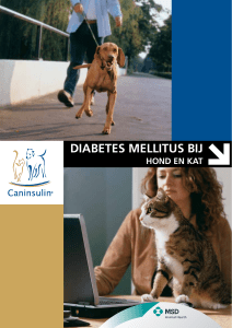 Caninsulin | Diabetes mellitus bij hond en kat | Dierenarts
