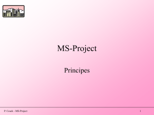 MS-Project - Telenet Users