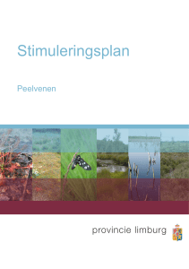 Stimuleringsplan - Provincie Limburg