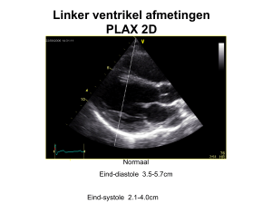Linker ventrikel afmetingen PLAX 2D