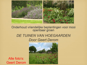 Presentatie Geert Derom - Tuinen van Hoegaarden