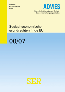 Sociaal-economische grondrechten in de Europese Unie (00/07)