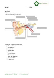Bouw oor Je ziet een afbeelding van een oor