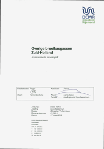 CMR Overige broeikasgassen Zuid-Holland