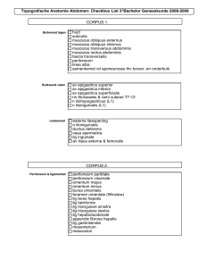 2007.11.01 Anatomie Abdomen checklist