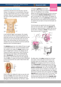 1.Anatomie abdomen - Gezondheidsuniversiteit