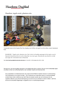 Haarlem: tegels eruit, planten erin