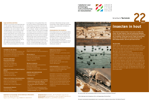 Insecten in hout - Rijksdienst voor het Cultureel Erfgoed