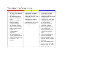 Tussendoelen visuele waarneming