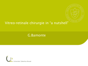 Vitreo-retinale chirurgie in *a nutshell* G.Bamonte