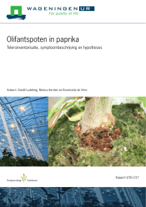 Olifantspoten in paprika - Wageningen UR E-depot