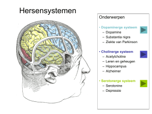 Hersensystemen - NXDOMAIN(.nl)