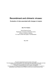 Recombinant and chimeric viruses