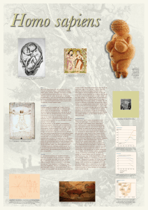 Taal Het woord `mens` komt in de Indo