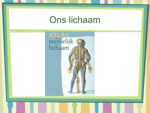 Ons lichaam - Edurep Delen