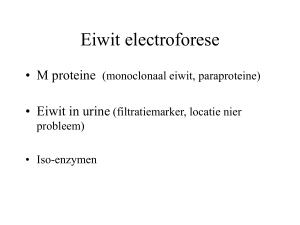 Eiwit electroforese