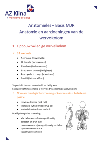 Basis MDR Anatomie en aandoeningen van de