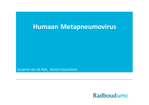 Humaan Metapneumovirus