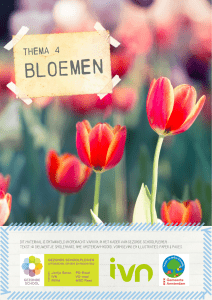 bloemen - Gezonde School