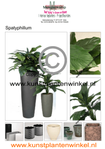 www.plantenman.nl - Kunstplantenwinkel