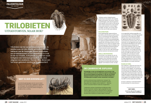 trilobieten - Weet Magazine
