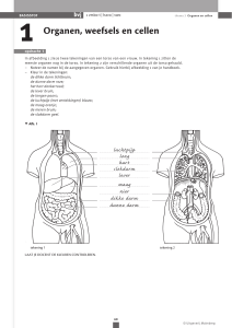 1 Organen, weefsels en cellen - SG Zuid