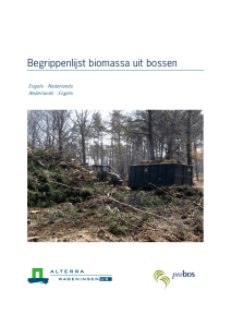 Begrippenlijst biomassa uit bossen