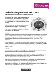 Nederlandse grondwet: art. 1 en 7