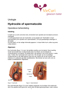 Hydrocèle of spermatocèle - Operatieve behandeling