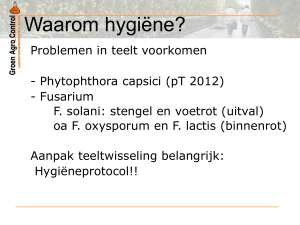 Waarom hygiëne? - LTO Glaskracht Nederland