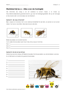 Kopieerblad 13 – Bij les 4a: Een bijenleven
