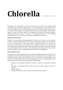 Chlorella het oudste superfood
