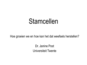 Stamcellen - Universiteit Twente