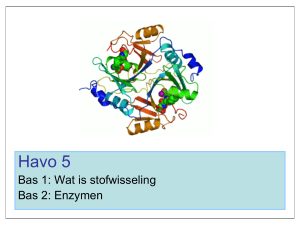 B1 en B2 Stofw. en enzymen