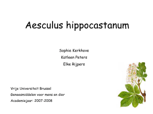 Aesculus Hippocastanum - Vrije Universiteit Brussel