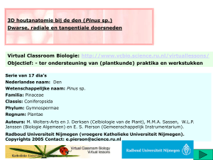 PowerPoint Presentation - Virtual Classroom Biologie