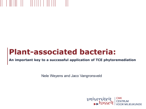 Plant-associated bacteria: