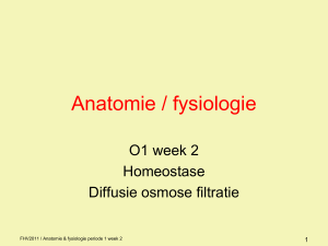 Anatomie / fysiologie