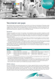 Protocol Vaccineren van pups - MSD Animal Health Nederland