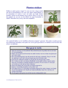 Planten stekken - Hobbyprojecten