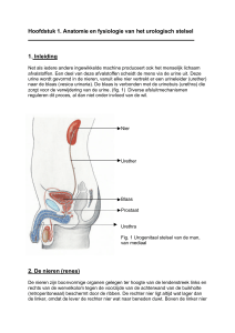 Hoofdstuk 1. Anatomie en fysiologie van het