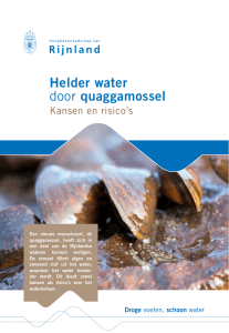 Folder Helder water door quaggamossel