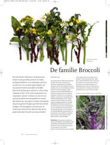 De familie Broccoli